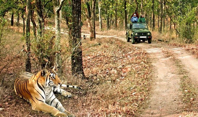 Jim Corbett Tour Packages