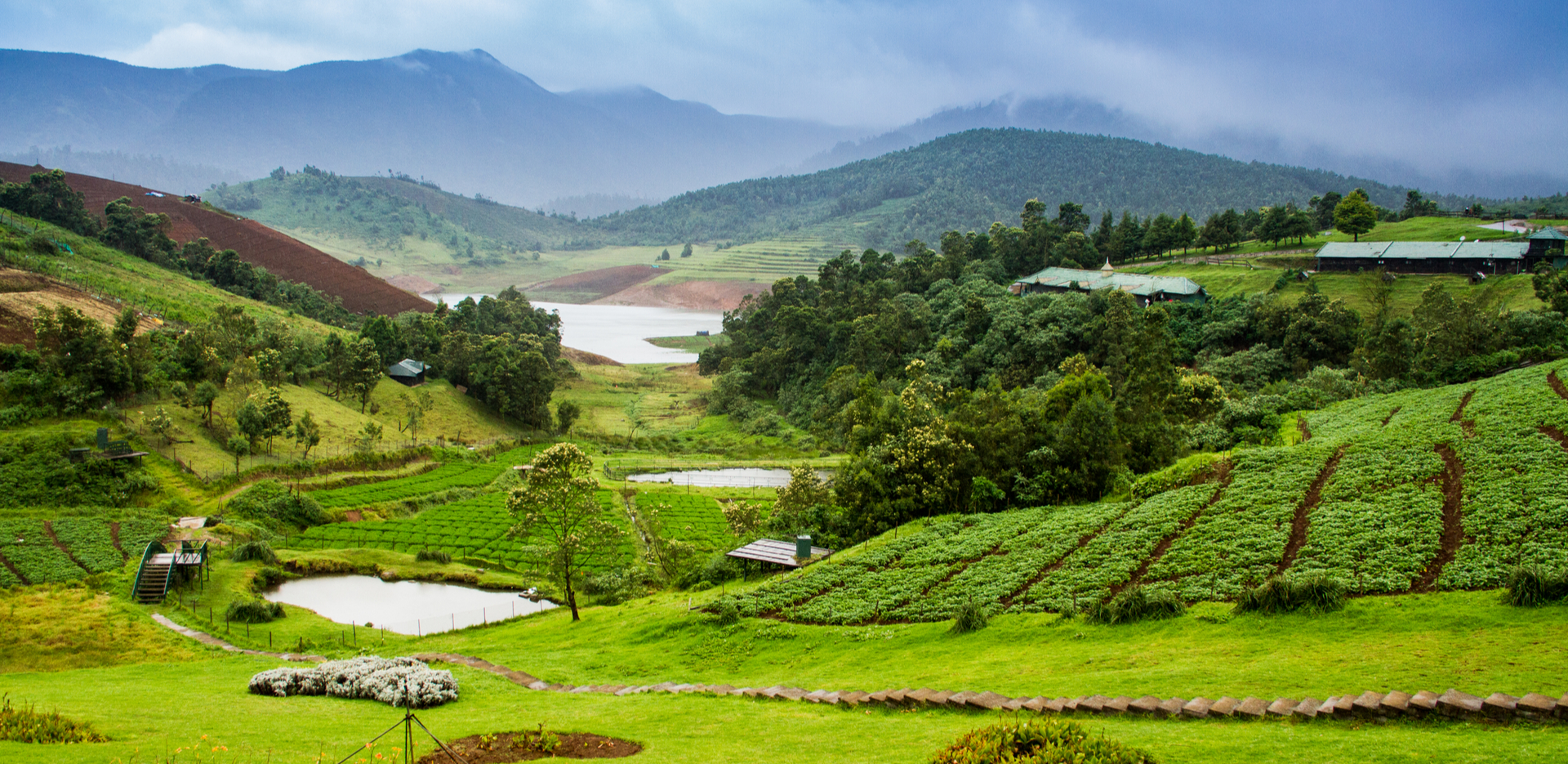 Bangalore Ooty Tour Package 