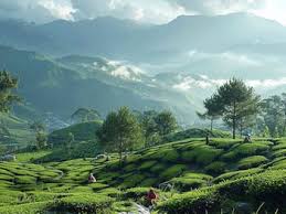 Palampur